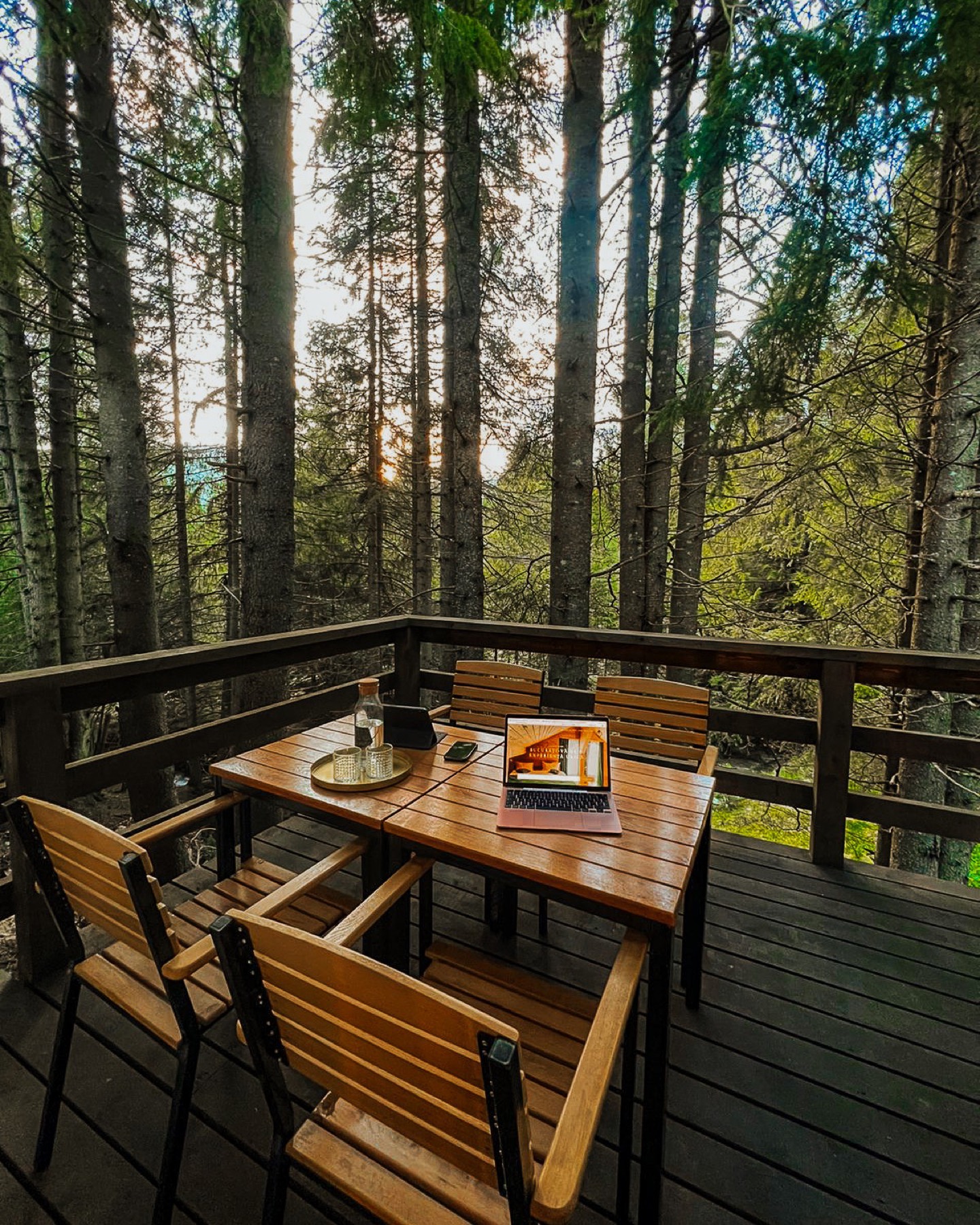 The First Step — Mounthoff Retreat, Bucegi Mountains