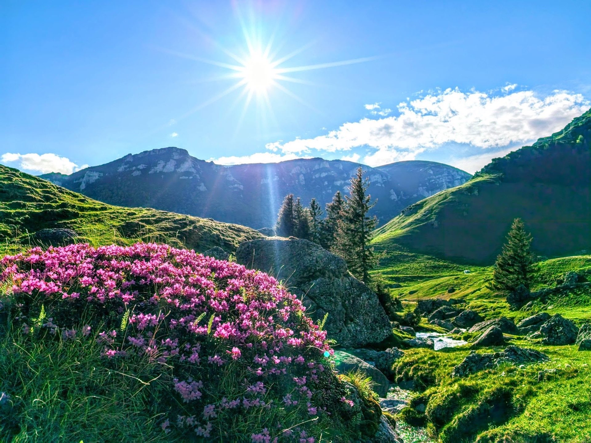 Mountain photography